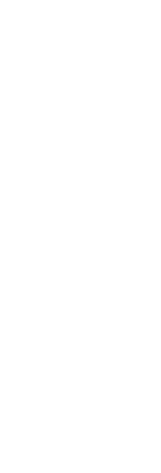 img-left-shape